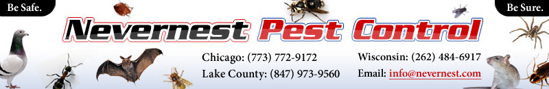 Chicago Pest Control
