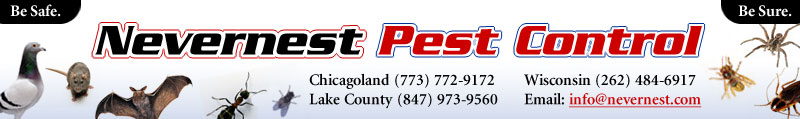 NeverNest WI and IL Pest Control